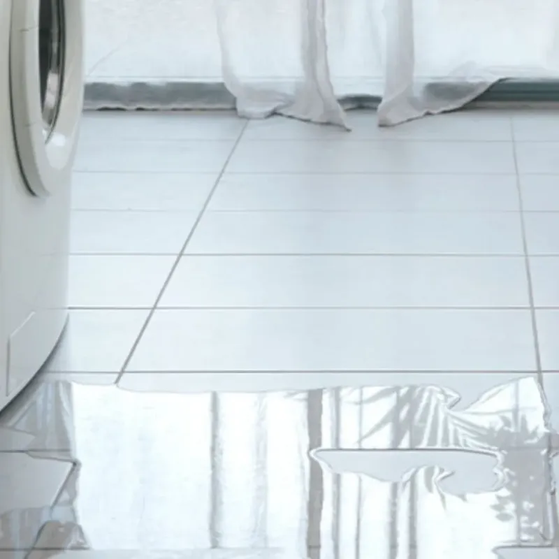 Appliance Leak Cleanup in Enumclaw, WA