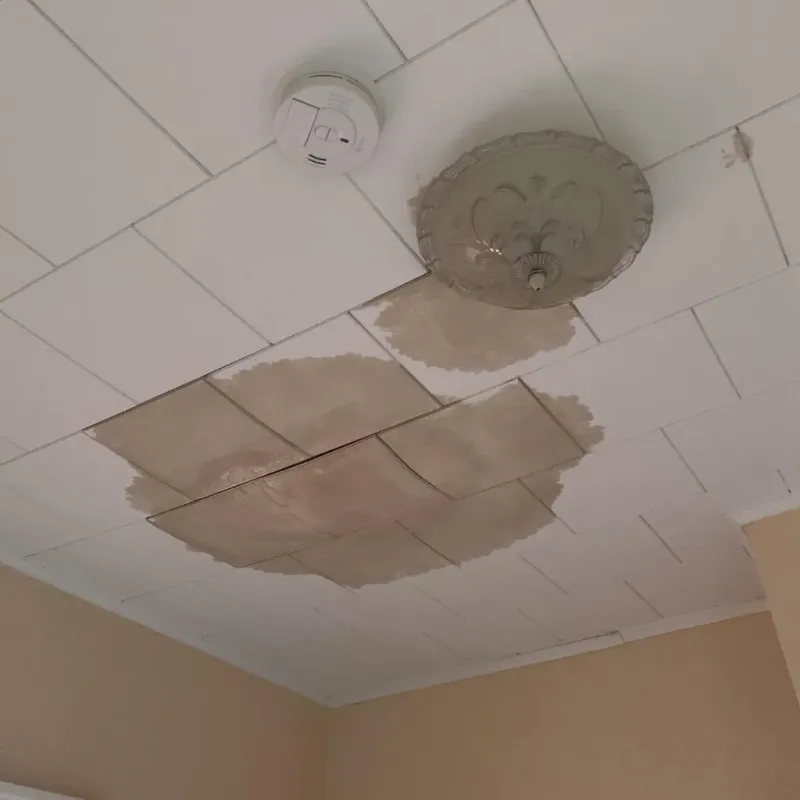 Ceiling Water Damage Repair in Enumclaw, WA