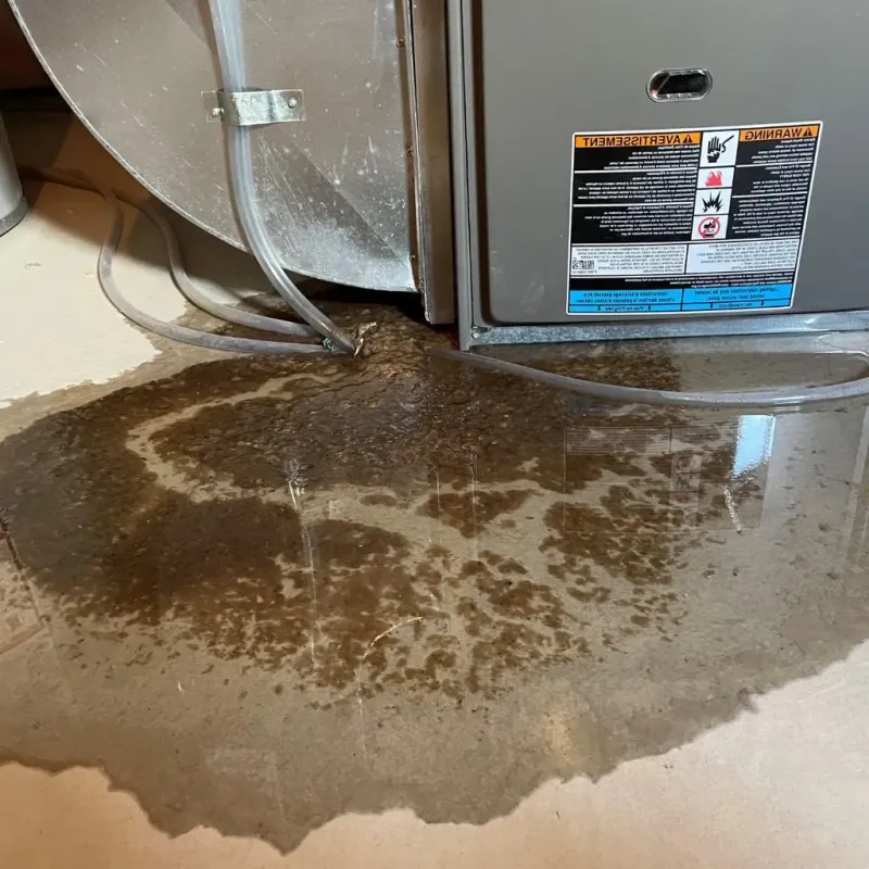 Pipe Burst and Leak Restoration in Enumclaw, WA